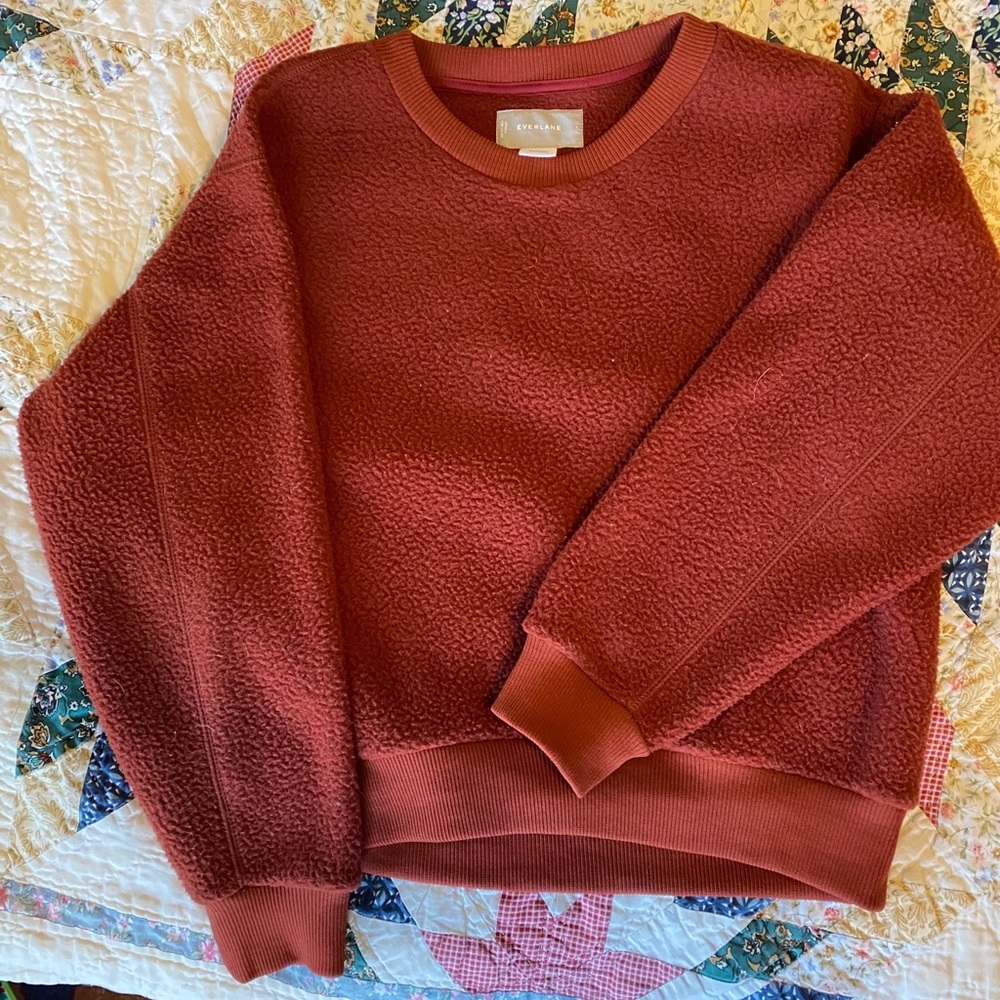 Everlane Fleece raglan sweater